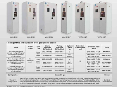 Armoires à bouteilles de gaz antidéflagrantes intelligentes Sysbel